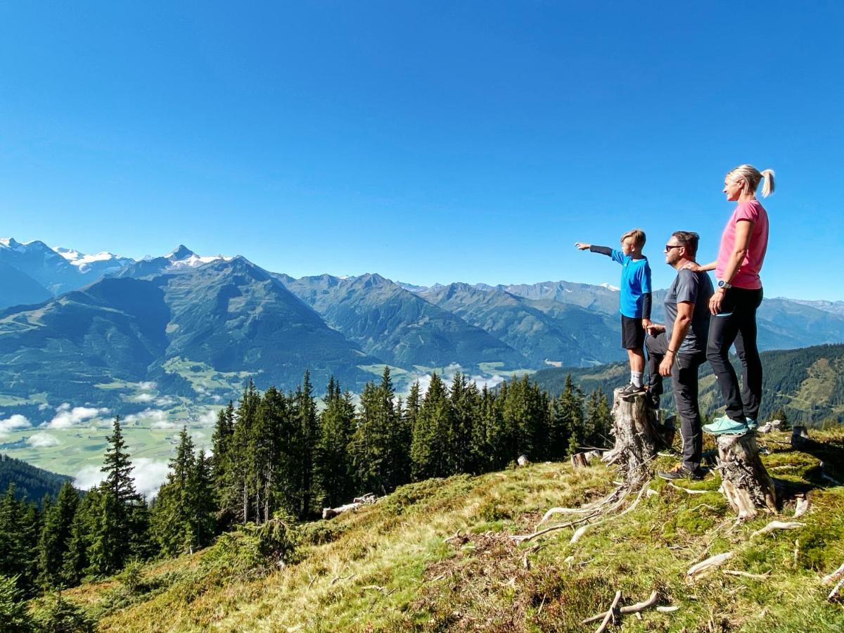 Alpen Chalets Zell Am See Niedernsill Eksteriør billede